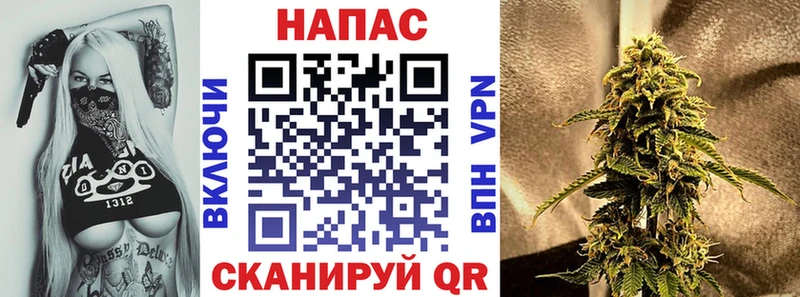 Виды наркоты Змеиногорск Канабис  Кокаин  ГАШ 