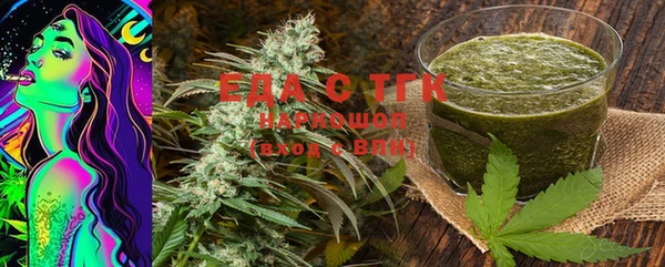 индика Покачи