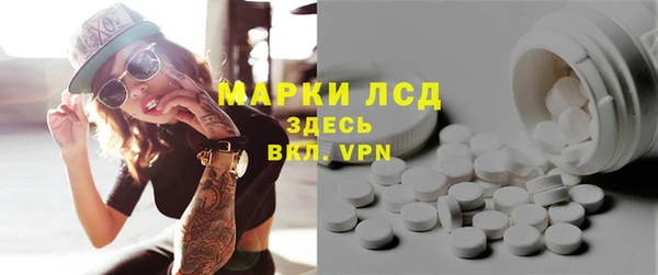 индика Покачи