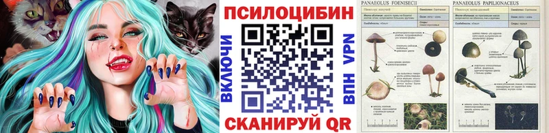 Галлюциногенные грибы Cubensis Змеиногорск